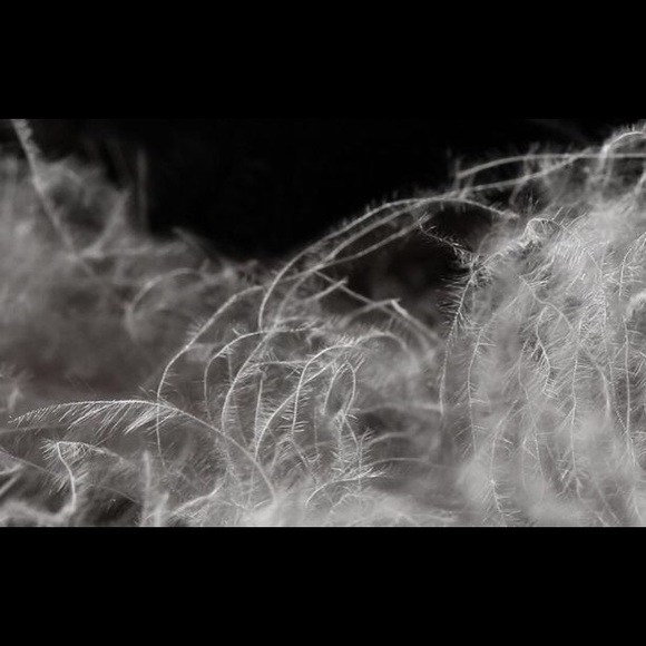 NWOT,850FP goose down puffer coat - Picture 6 of 7